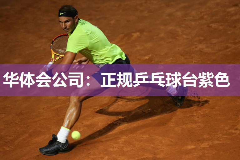 华体会公司：正规乒乓球台紫色