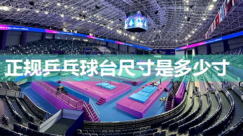 正规乒乓球台尺寸是多少寸