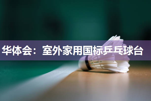 室外家用国标乒乓球台